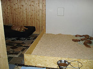 Indoor playpen